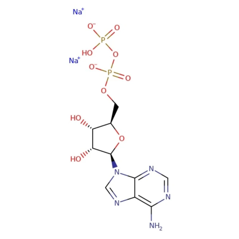 Adenosine -5 '-מלח Diphosphate Disodium